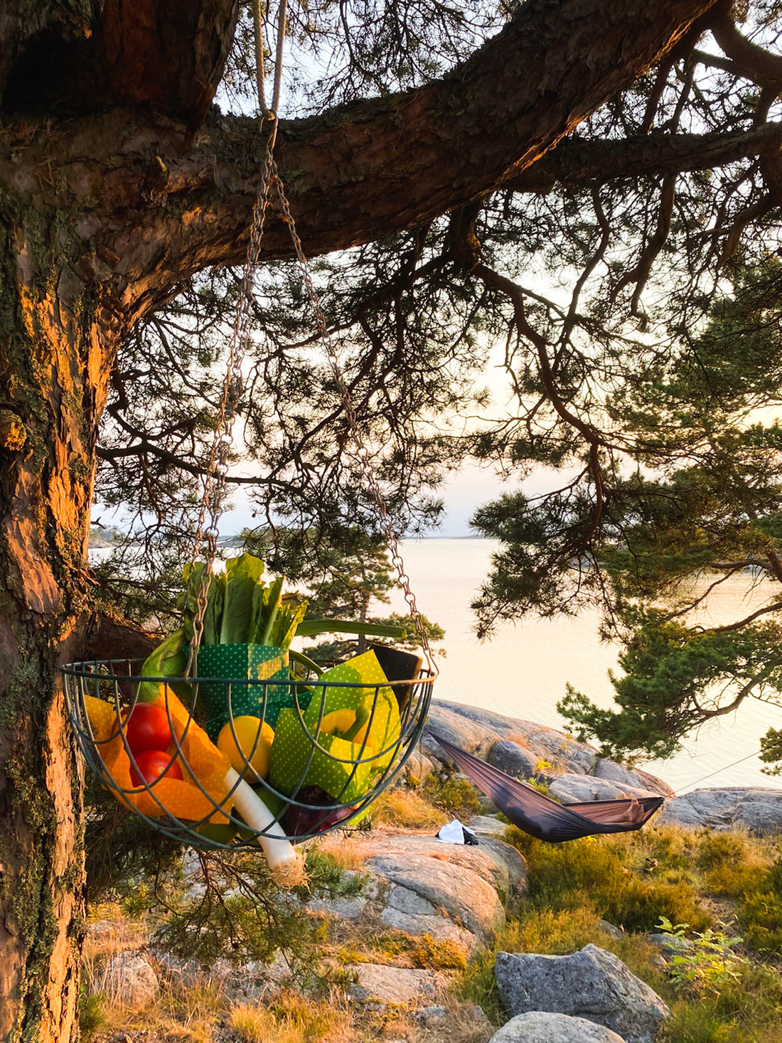 Tips för att minska din plastanvändning